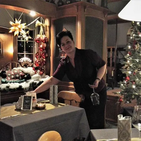 Weisse Taube מלון Döbeln