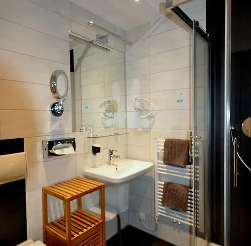 فندق Weisse Taube 3*